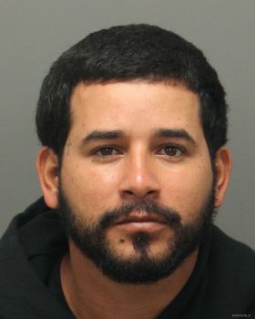 Luis Alexander Ramos-martinez Mugshot