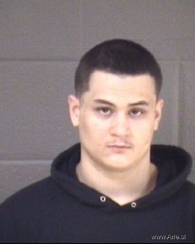 Luis  Tehnilenco Mugshot