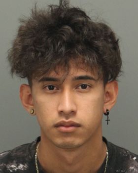 Luis Mario Velasquez-guevar Mugshot