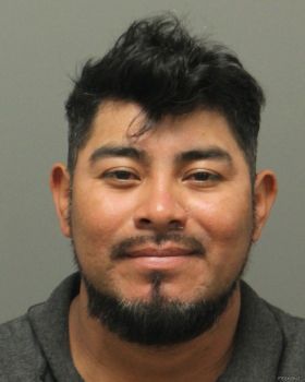 Luis Thomas Velasquez-sacria Mugshot