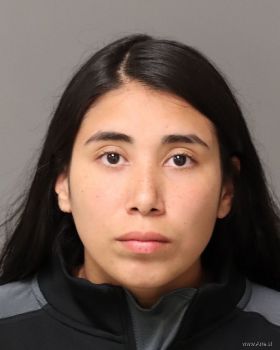 Luisa Fernanda Farias-suarez Mugshot