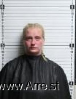 Megan Marie Lane Mugshot