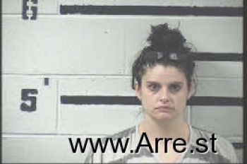 Mandi Raye Metcalf Mugshot