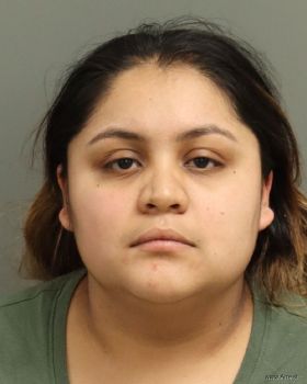 Maria Yarel Estrada-martinez Mugshot