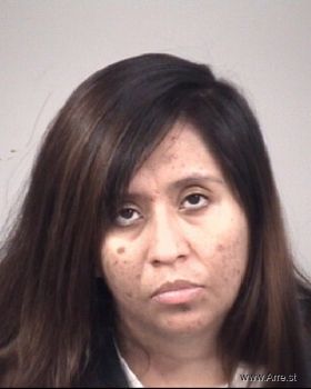 Mariana Nmn Mendoza Hernandez Mugshot