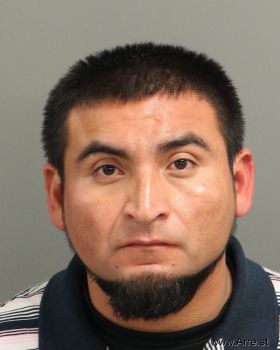 Mario Nelson Medrano-portillo Mugshot