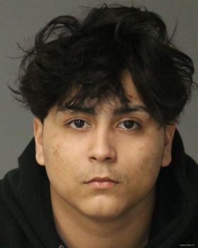 Mario Alberto Jr Salinas Mugshot