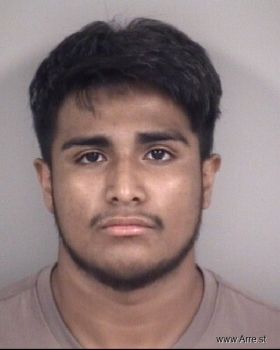 Martin  Flores Mugshot