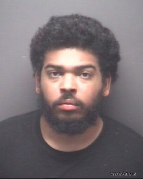 Martin Marc Hampton Mugshot