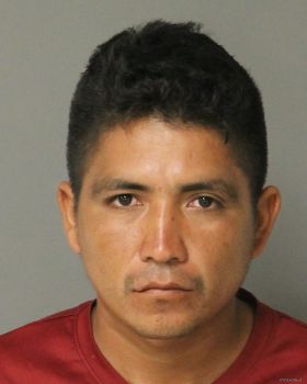 Marvin Adaly Vasquez-lopez Mugshot