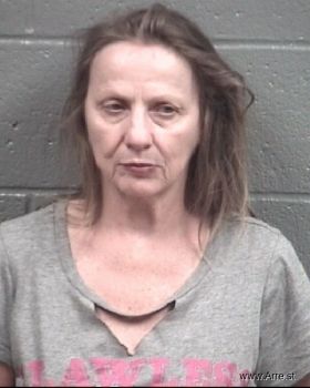 Mary Ann Boyd Mugshot