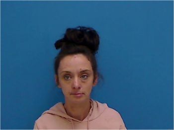 Mary Lee Clark Mugshot