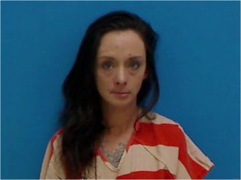 Mary Lee Clark Mugshot