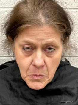 Mary Lynn Cline Mugshot