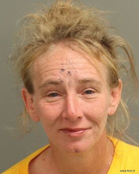 Mary Ellen Harris Mugshot