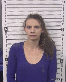 Mary Sue Hill Mugshot