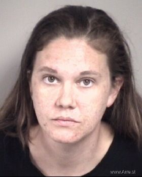 Mary Elizabeth Lanier Mugshot