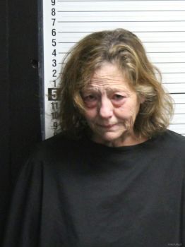 Mary Elizabeth Leiby Mugshot