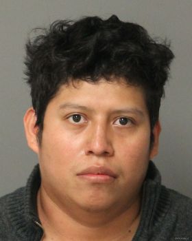 Maynor Eliel Lopez-morales Mugshot