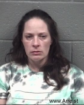 Megan Annette Edwards Mugshot