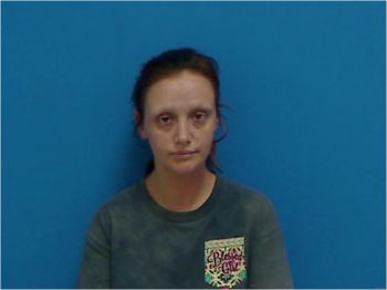 Megan Leanne Huffstetler Mugshot