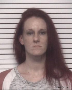 Megan Elizabeth Johnson Mugshot