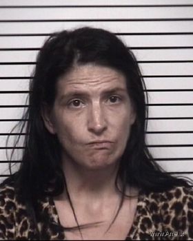 Megan Danielle Mcentire Mugshot