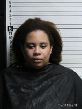 Megan Nicole Smith Mugshot