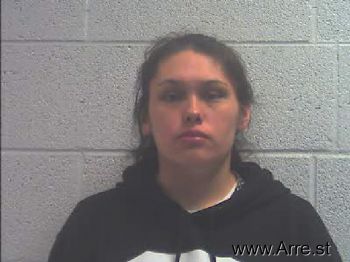 Megan Dawn Wilnoty Mugshot