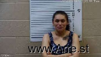 Megan Dawn Wilnoty Mugshot