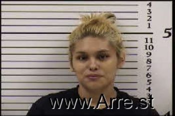 Megan Dawn Wilnoty Mugshot