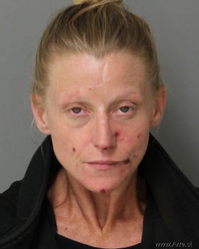 Melanie Collins Burton Mugshot