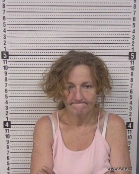 Melisa Diana Triplett Mugshot