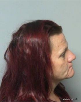 Melissa Dawn Goldston Mugshot