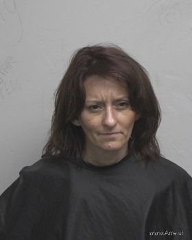 Melissa Ann Patterson Mugshot