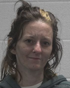 Melissa Ann Patterson Mugshot