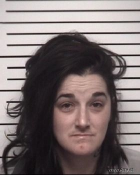 Melissa Jo Perry Mugshot