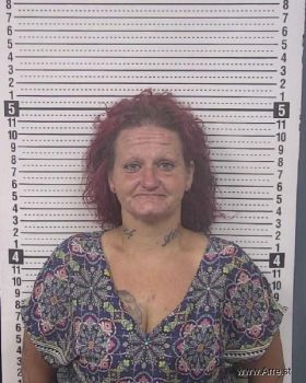 Melissa Ann Wagoner Mugshot