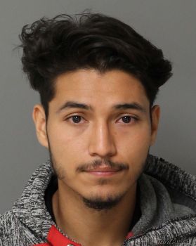 Michael  Rebollar Mugshot