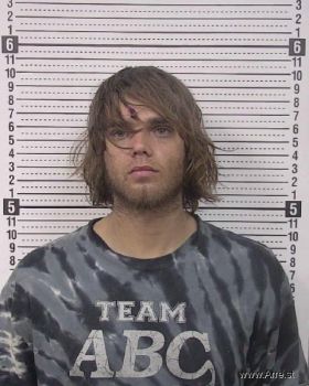 Michael Gold Austin Mugshot