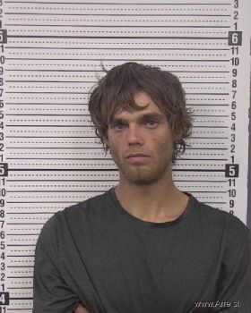 Michael Gold Austin Mugshot