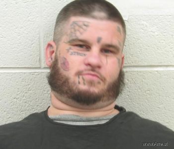 Michael Billy.ray Holland Mugshot