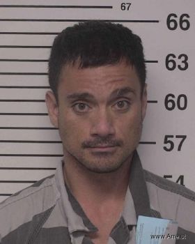 Michael  Larrieu Mugshot