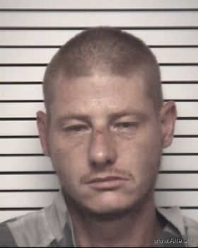 Michael Mclain Raymer Mugshot