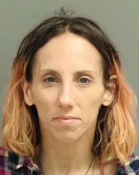 Michele Ann Williams Mugshot