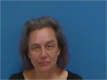 Michelle Bolin Gibson Mugshot