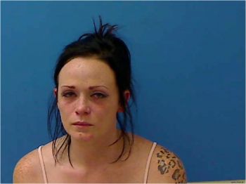 Michelle Lynn Miller Mugshot