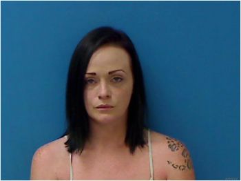 Michelle Lynn Miller Mugshot