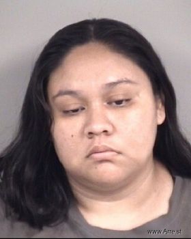 Michelle Nmn Villarreal Mugshot