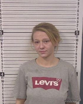 Mindy Dawn R Whisnant Mugshot